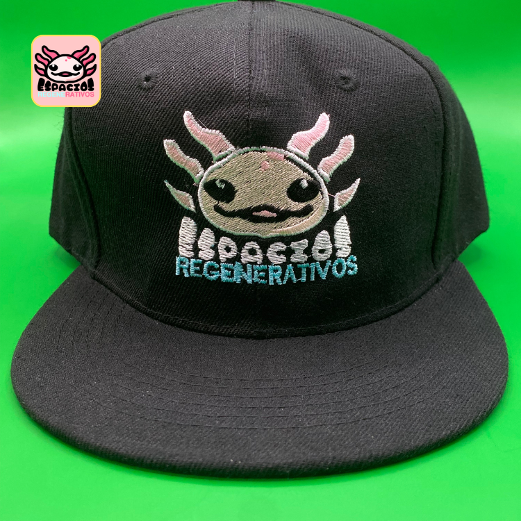 Gorra